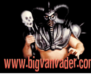 bigvanvader.com: Big Van Vader
Big Van Vader fan site. The latest Vader news, video downloads, pictures, victims, arrests, interviews, backstage fights, results, title history, schedule, online store, yada, yada!