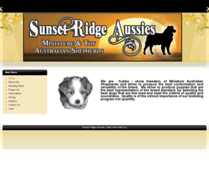 sunsetridgeaussies.com: Sunset Ridge Aussies
Sunset Ridge Aussies! - Miniature and Toy Australian Shepherds - Hobby Show Breeder.