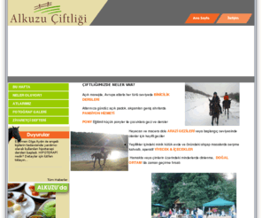alkuzu.com: ALKUZU BİNİCİLİK & AT PANSİYONCULUĞU
site.com Türkiye Ticaret Rehberi
