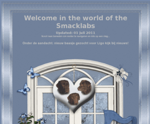 labrador-smacklabs.nl: Alles over honden, labradors, de, shownieuws, onze teefjes, met mooie foto's van onze van honden, shows,  lord of the ring, links, digitale labradorkaarten, digitale labradorpuzzels, labradorkleurplaten, labradorkleurplaat, gastenboek.
Index Smacklabs, labradors at Smacklabs, alles over onze honden, labradors, de, geschiedenis, shownieuws, Zoë, Frodo, Shane, Lord of the Ring,  digitale labrador kaart of puzzel sturen, en labrador kleurplaten en tot slot labrador links