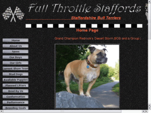 fullthrottlestaffords.com: FULL THROTTLE STAFFORDS
FULL THROTTLE STAFFORDS FIRST CLASS IN TEMPERAMENT,HEALTH,AND INTELLIGENCE, STABLE, TRUSTWORTHY, AFFECTIONATE, AND TENACIOUS.