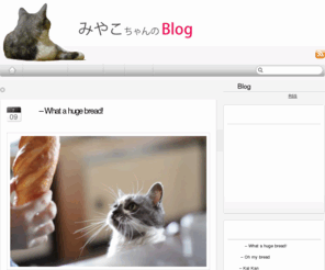 cafe-nyavi.net: お手する猫「みやこちゃん」のBlog
お手する猫「みやこちゃん」の日常を、写真や動画などで紹介します。お手などの芸だけから、かわいい写真までそろっています。
