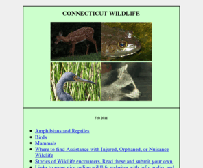 wildlifeofct.com: Connecticut Wildlife
A guide to Connecticut Wildlife. Mammals, amphibians, reptiles and birds with images and descriptions.