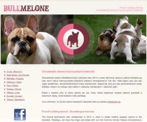 bullmelone.eu: BullMelone - Chovatelská stanice francouzských buldočků - French bulldog kennel
BullMelone - chovatelská stanice francouzských buldočků - French bulldog - Bouledogue francais, francouzsky buldoček