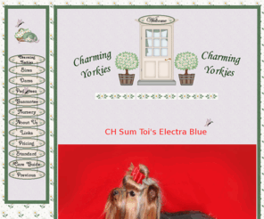 charmingyorkies.com: Welcome To Charming Yorkies!
Yorkies