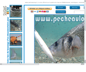 fishing-power.com: Site officiel de pecheauloup.fr
Pche du bar et du loup, matriel de pche Tenryu, Megabass, Duo, Tackle House, Bateau, Dorade, Liche, thon