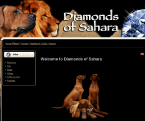 rhodesian-ridgeback-dogs.com: Diamonds of Sahara
We would like to invite you to our beautiful North African Rhodesian Ridgeback Kennel in Hurghada, Egypt. Welcome!