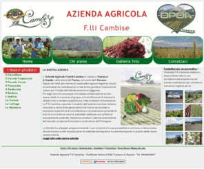 cambise.it: Azienda Agricola F.lli Cambise - Trasacco (L'Aquila) - Abruzzo
Azienda Agricola F.lli Cambise Produttore Ortofrutticolo Abruzzo