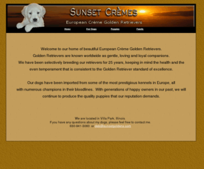 sunsetcremes.com: Sunset Cremes
European Crème Golden Retrievers