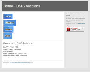 dmgarabians.com: Home - DMG Arabians
