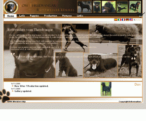 vom-thrudvangar.com: Rottweiler vom Thrudvangar
Rottweiler vom Thrudvangar, a first rate quality rottweiler breeder.Exporting rottweilers all around the world.