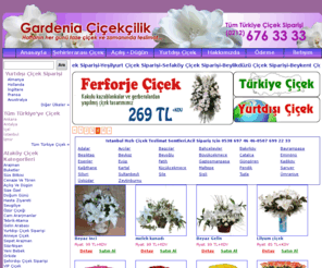 atakoycicekci.net: Çiçekçi| Çiçek Siparişi(212)676 3333|Uluslarası Çiçekçi| Çiçekçilik k
 çiçekçi, çiçek Siparişi, çiçek gönderme, semtine çiçek siparişlerinizi online veya telefonla verebilirsiniz, çiçek, çiçekçiler