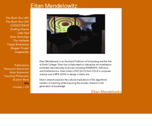 aiaesthetic.com: Eitan Mendelowitz: Bio
