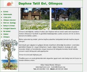 olimpos.biz: Daphne Tatil Evi - Olimpos - Antalya / Küçük ve Butik Oteller Sitesi
Daphne Tatil Evi, Daphne House, ...çam ormanının derininde, genç, son derece içten bir kaçış yeri.