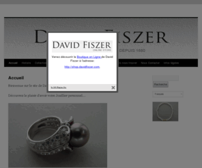 davidfiszer.com: Accueil -
