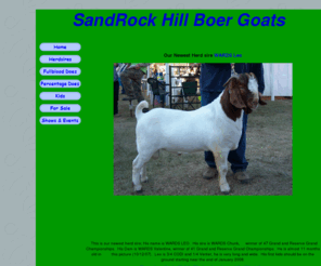 sandrockhillboers.com: sandrockhillboers.com boer goats
Boer Goat sales,  Fullblood Does for sale,  Percentage Does for sale,  Kids for sale, Wethers for sale. 