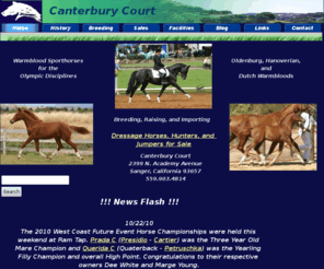 canterbury-court.com: Canterbury Court Sport Horses. Dressage Horses, Hunters, and Jumpers for sale. German Oldenburg, Hanoverian and Dutch Warmblood sport horses
Canterbury Court-breeding, raising, importing and selling Oldenburg, Hanoverian, and Dutch Warmblood horses for dressage, hunters, and jumpers.