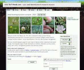 msuturfweeds.net: MSU Turf Weeds.net - Weed identification and information. A resource guide from the Dept. of Crop and Soil Sciences at Michigan State University
Web site description
