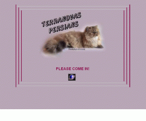 terranovas.se: Terranovas Golden & Chinchilla Perser
