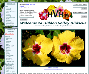 hiddenvalleyhibiscus.biz: Hidden Valley Hibiscus - Exotic, Tropical Hibiscus Hybrids
Hibiscus plants for sale, hibiscus care information, exotic tropical hibiscus flowers. Largest hibiscus website on the internet.