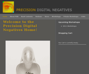 precisiondigitalnegatives.com: Welcome to the Precision Digital Negatives Home!
