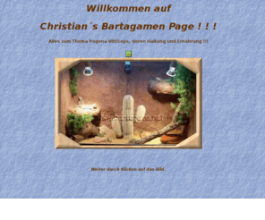 bartagame.net: Christians Bartagamen Page
Alles zum Thema Pogona Vitticeps, deren Haltung und Ernährung !!!