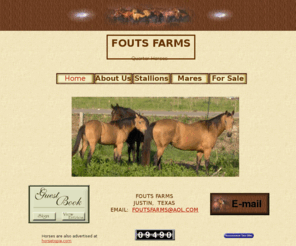 foutsfarms.com: HOME
Quarter horses cutting barrel quarter horses in texas . We sale aqha horses and akc labrador retriever puppies in north texas,  