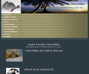 southfloridachinchillas.com: South Florida Chinchillas
Small chinchilla breeder located in Miami, FL. I've been breeding and rescuing chinchillas in the South Florida area for 3 years. I have rescue chins available for adoption. Information on chin care available on this site as well.