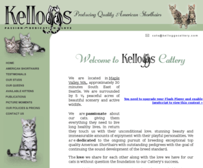 kelloggscattery.com: Available Kittens at Kelloggs Cattery - Breeder of Quality American Shorthair Cats
Kelloggs Cattery - Producing Quality American Shorthair Cats located in Maple Valley, Washington. We are dedicated to the ongoing pursuit of breeding exceptional top quality American Shorthairs.