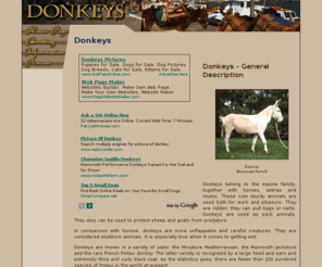 donkeys-donkeys.com: Donkeys
General resource of Donkey breeders, rescues, and associations, including a selection of pictures and informational links.