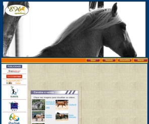 equitahorse.com: Equitahorse
