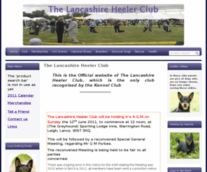 thelancashireheelerclub.co.uk: Lancashire Heelers -The Lancashire Heeler Club
    Lancashire Heelers,The Lancashire Heeler Club,advice and information regarding Lancashire Heeler dogs,promoting this native breed of the United Kingdom                 