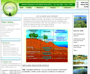 southerntierconsulting.com: Southern Tier Consulting
