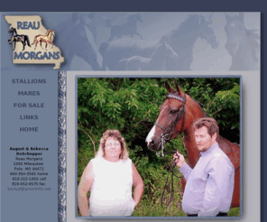 reaumorgans.com: Reau Morgans
