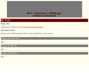 storageandrecovery.com: Rick Carbonaro's Web Site

