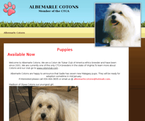 albemarlecotons.com: Albemarle Cotons
Albemarle Cotons