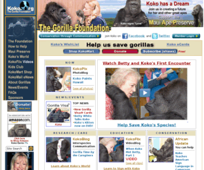 koko.org: Koko.org / The Gorilla Foundation
KokoMart is the Gorilla Foundation's online store. All proceeds directly support our efforts to save the species via Koko's ambassadorship in Africa and a new gorilla preserve on Maui.