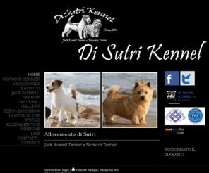 allevamentodisutri.com: allevamento di sutri - allevamento di sutri
Allevamento di Cani Jack Russell Terrier Norwich terrier