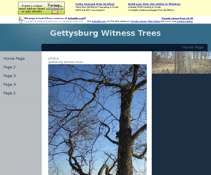gettysburgwitnesstrees.com: Home Page
Home Page