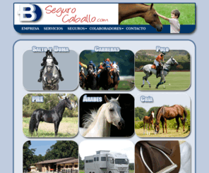 segurocaballo.com: Seguro Caballo - Seguros Hípicos
Tu seguro hípico con Segurocaballo.com: seguros de caballos de salto, doma, carreras, polo, PRE, árabes, seguros de cría, transporte, instalaciones, otros seguros