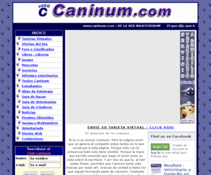 caninum.com: Perros y Mascotas en Caninum.com
Mascotas, Perros, Gatos, Informes veterinarios, consejos útiles, guías de veterinarias, criaderos y otros servicios.