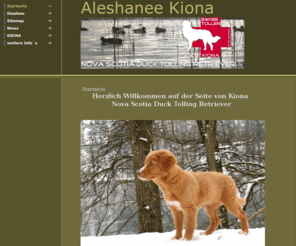 kiona.ch: www.kiona.ch
Kiona -Startseite  - Aleshanee "Kiona",
Nova scotia duck tolling retriever kiona