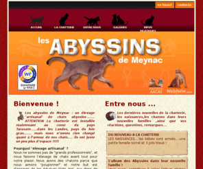 abyssin-chocolat.com: Chatterie des Abyssins de Meynac
(Un élevage artisanal et familial de chats ABYSSINS à Meynac en gironde.)