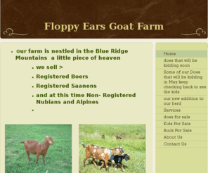 floppyearsgoatfarm.com: Floppy Ears Goat Farm - Home
  Our farm is nestled in the Blue Ridge Mountains  a little piece of heaven we sell >Registered  BoersRegistered Saanens and at this time Non- Registered Nubians and Alpines                                                                                   