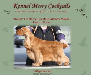 merrycocktails.se: Välkommen Till Merry Cocktails
Välkommen Till Kennel Merry Cocktails. Uppfödning av brokig och enfärgad cockerspaniel i hemmiljö.