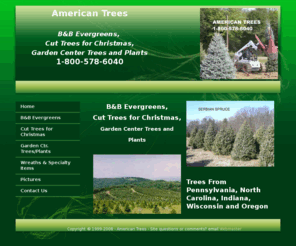 americanchristmastrees.com: American Trees
Wholesale trees, wreaths, and roping.