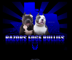 razorsedgebullies.com: INDEX
Razors Edge Bullies Dogs, American Pit Bull Terriers UKC registers, Amrican Bullies, True Tank Kennel, Blue Pits, Blocky Head Pit Bulls, Razors Edge Dogs