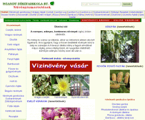 tuja.hu: Wiandt Díszfaiskola Kertészet sziklakerti növények kerti virágok sziklakerti növények szobanövények online kertészeti áruház
Kert növények, dísznövények fák díszfák díszfüvek fűszernövények kerti virágok örökzöldek tavi növények vizinövények fenyő fajták szobanövény fajták