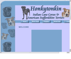 honkytonkincorsos.com: Honkytonkin Cane Corsos and American Staffordshire Terriers - a small kennel in Neerim South, Victoria, Australia
Honkytonkin is a small kennel in rural Neerim South, Victoria where our dogs are treated as family and puppies are home reared with love and attention.  Soundness and good temperament of paramount importance