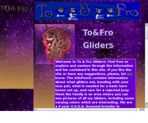 toandfrogliders.com: To&Fro Homepage
